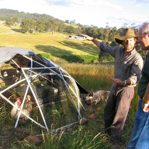 How To Build a Geodesic Chook Dome